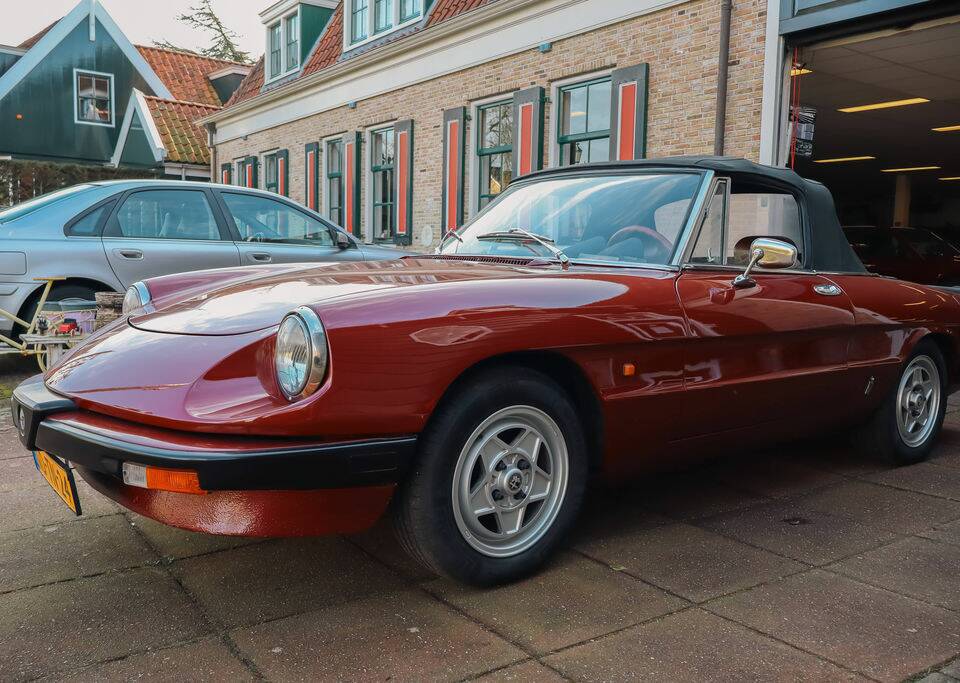 Bild 5/8 von Alfa Romeo 1.6 Spider (1983)