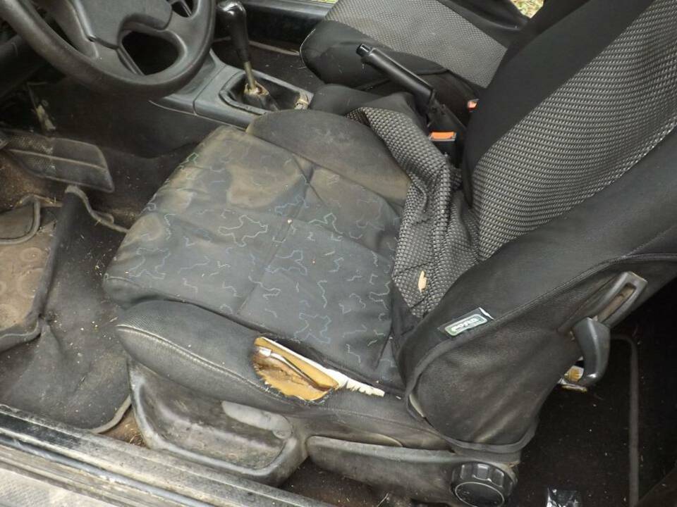 Image 21/50 of Volkswagen Golf III Cabrio 1.6 (1996)