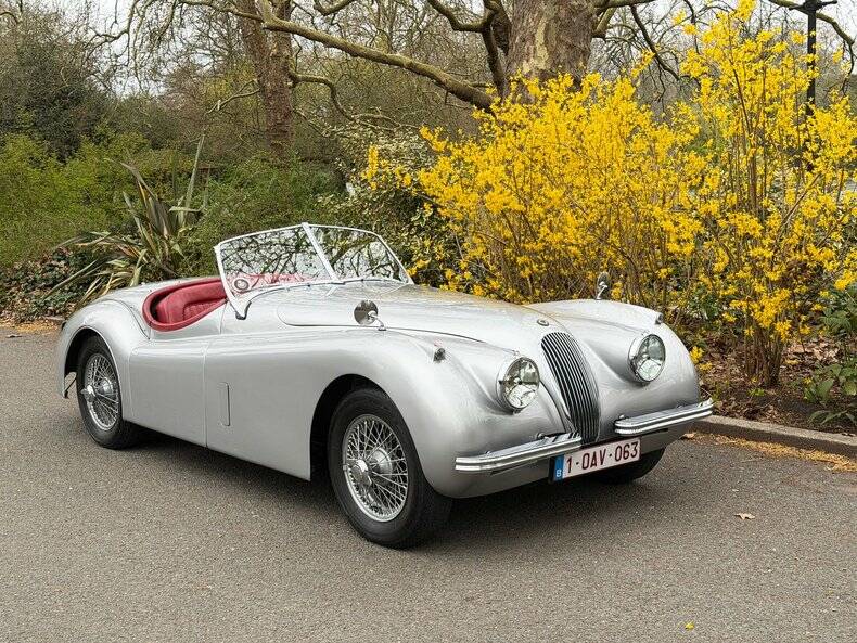 Image 38/50 of Jaguar XK 120 OTS (1953)