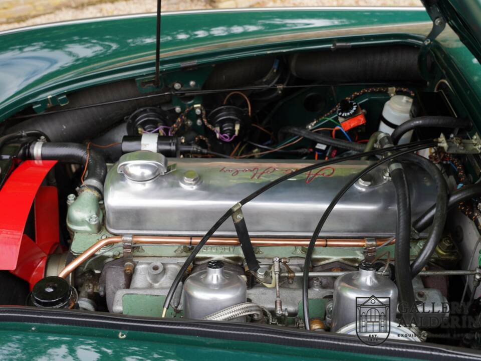 Afbeelding 34/50 van Austin-Healey 3000 Mk III (BJ8) (1966)