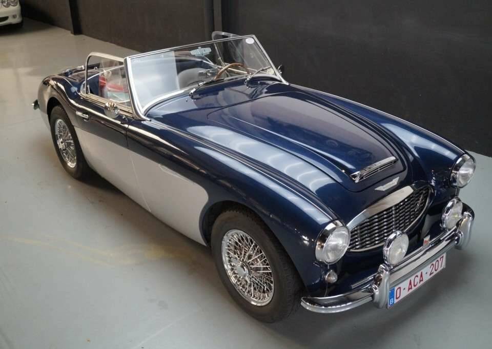 Immagine 26/50 di Austin-Healey 3000 Mk II (BN7) (1961)