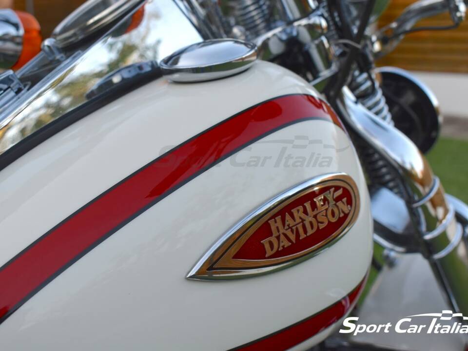 Immagine 23/50 di Harley-Davidson FLSTS 1340 Heritage Springer (1998)