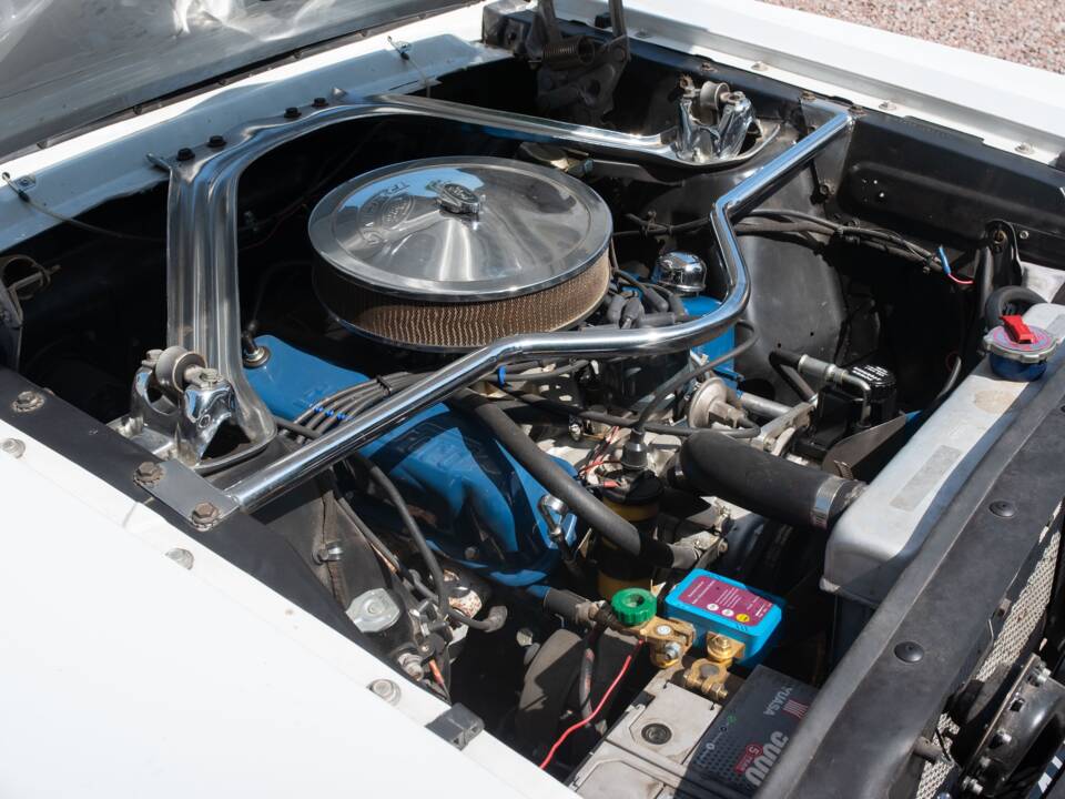 Image 28/54 of Ford Shelby GT 350 (1965)