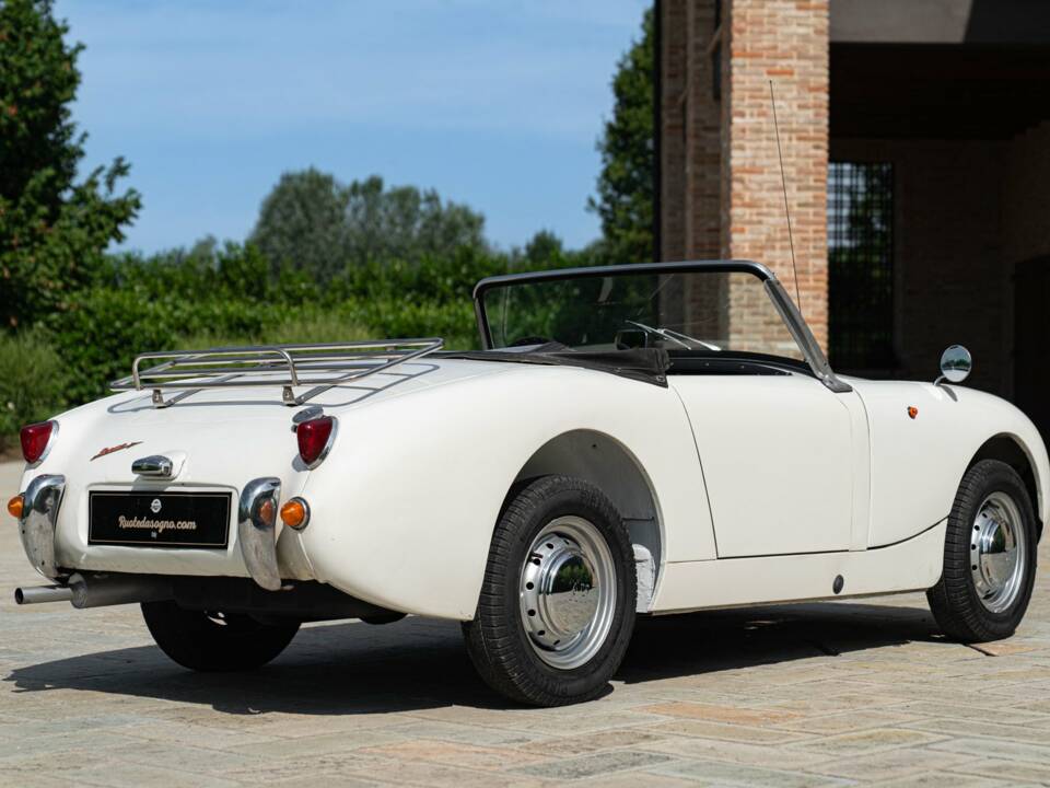 Image 6/50 of Austin-Healey Sprite Mk I (1958)