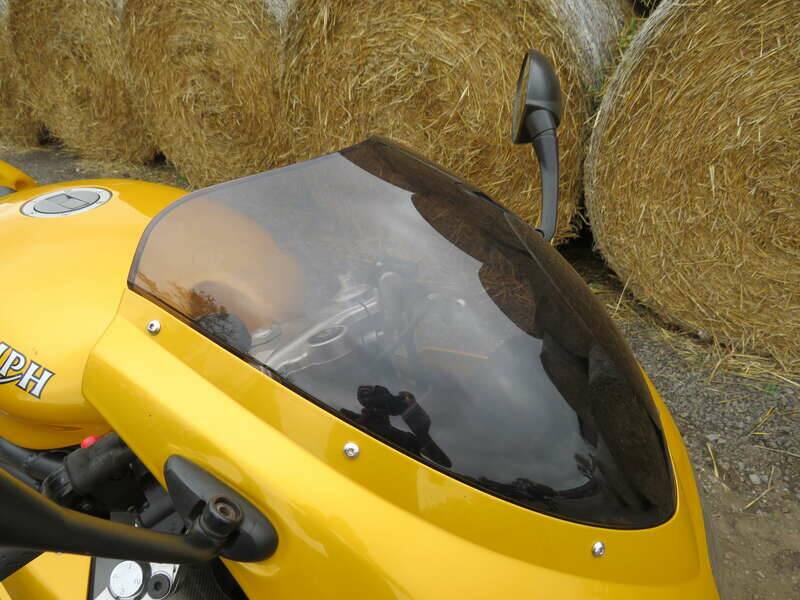 Image 7/39 of Triumph DUMMY (2006)