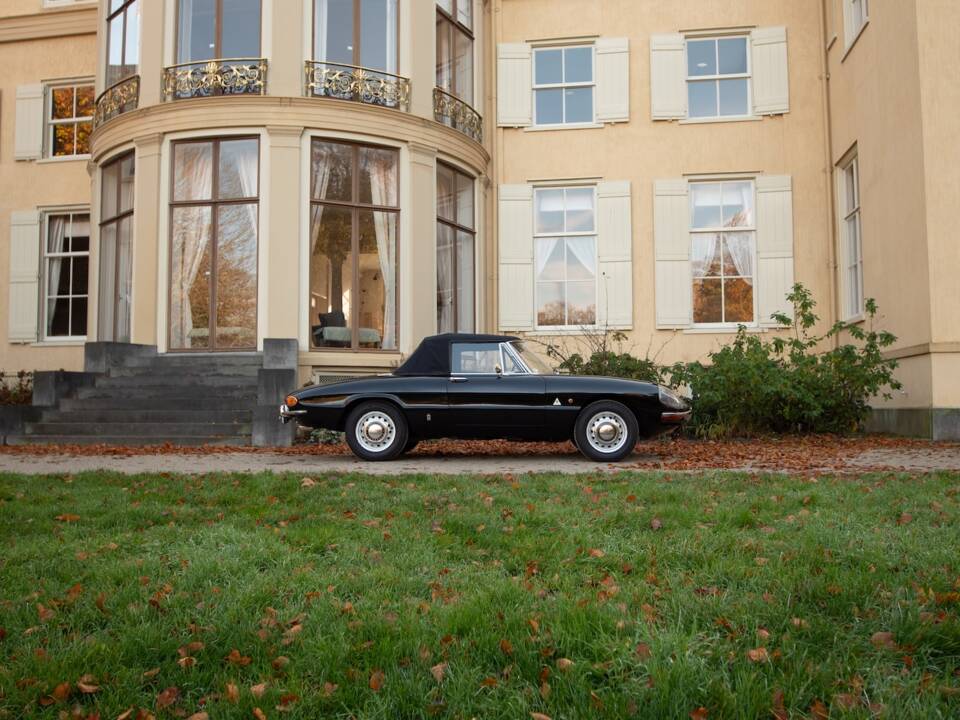 Image 4/51 of Alfa Romeo 1600 Spider Duetto (1966)