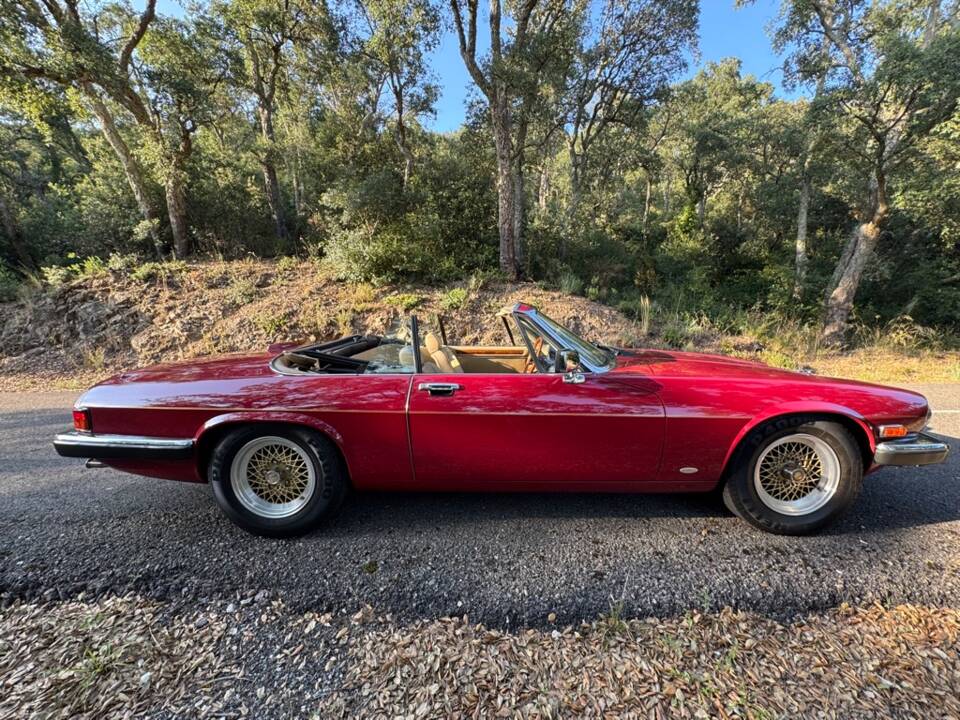Bild 23/62 von Jaguar XJ-S Convertible (1988)