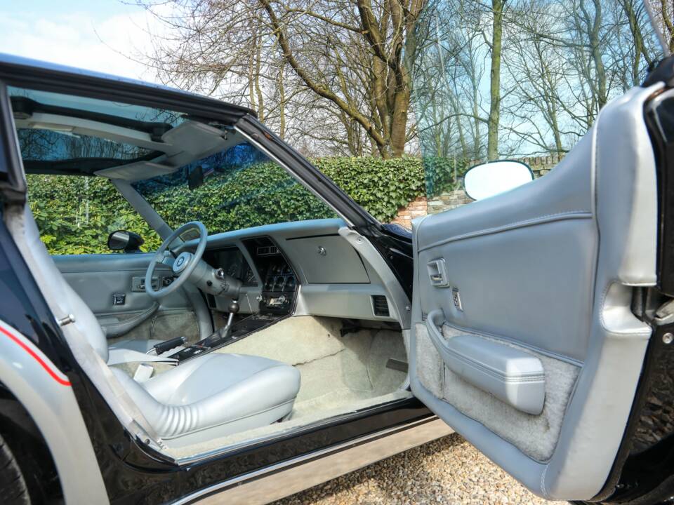 Image 17/50 of Chevrolet Corvette Indy Pace Car (1978)