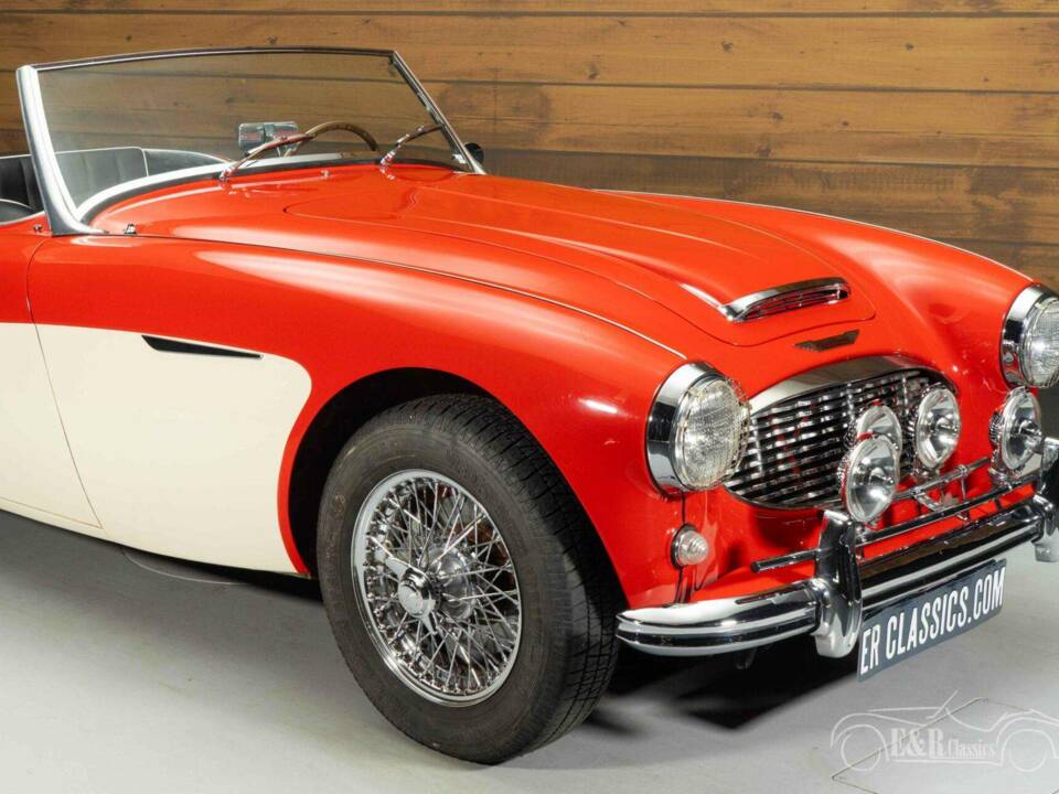 Imagen 18/19 de Austin-Healey 100/6 (BN4) (1958)
