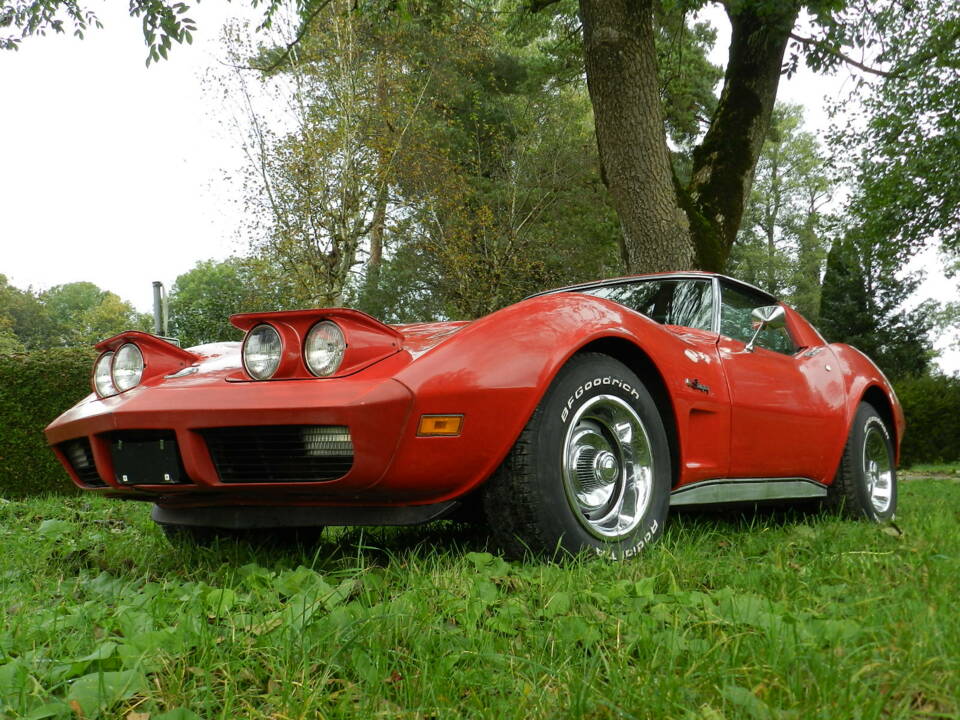 Image 66/78 of Chevrolet Corvette Stingray (1974)