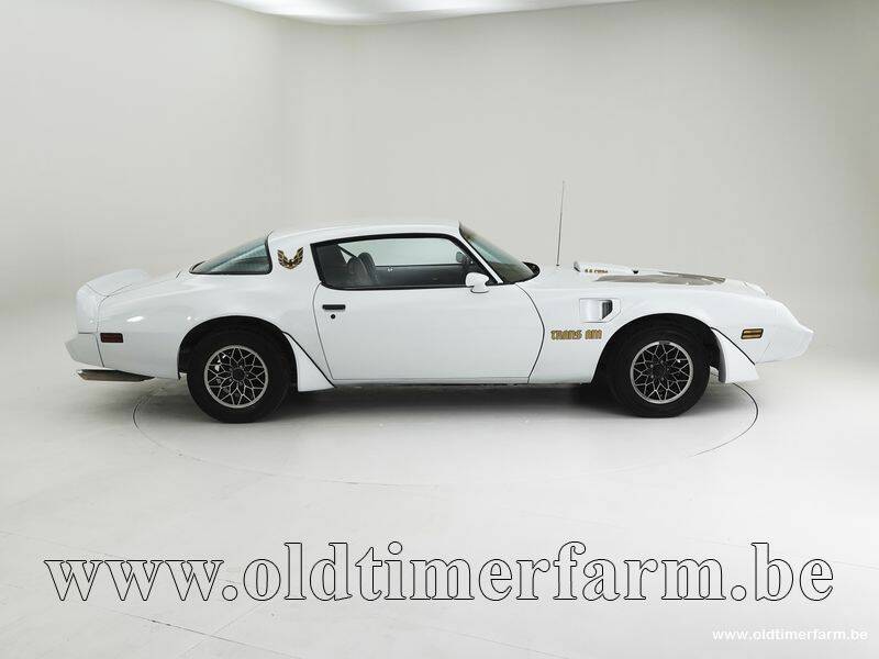 Image 6/15 de Pontiac Firebird Turbo TransAm (1981)