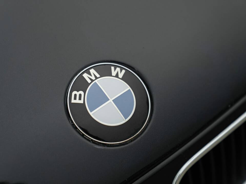 Image 9/50 of BMW 318 (1994)