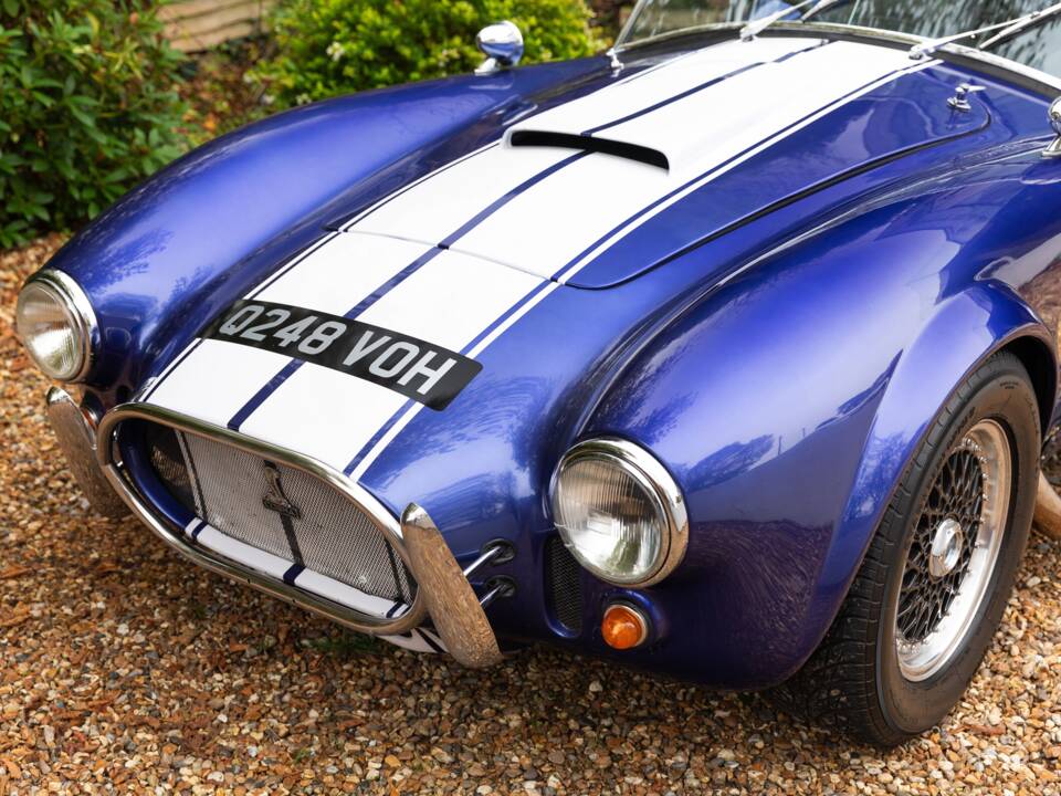 Bild 49/50 von AC Cobra 289 (1997)