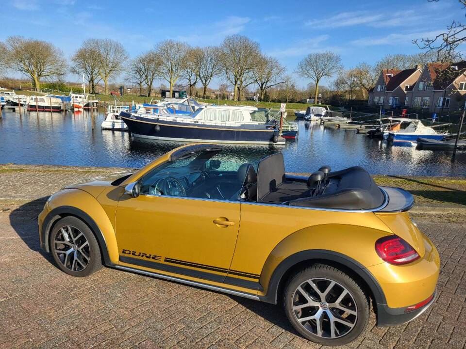 Bild 2/4 von Volkswagen Beetle 1.2 TSI (2017)