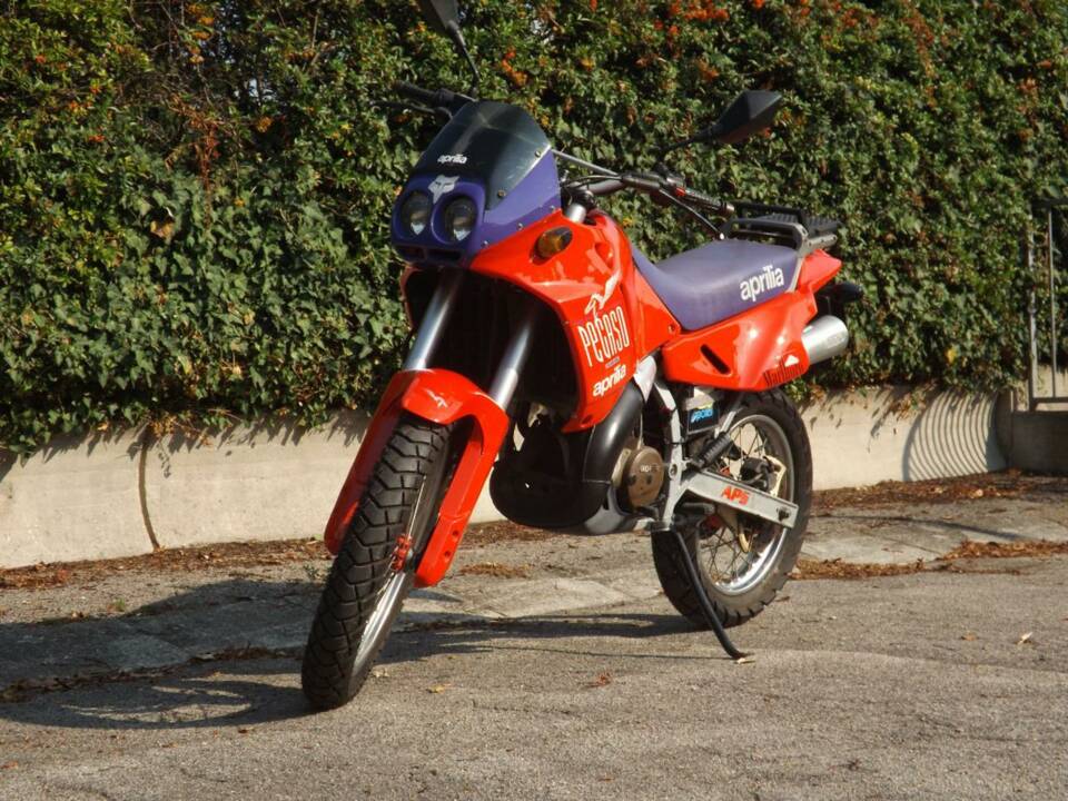 Immagine 4/50 di Aprilia Pegaso 125 (1989)