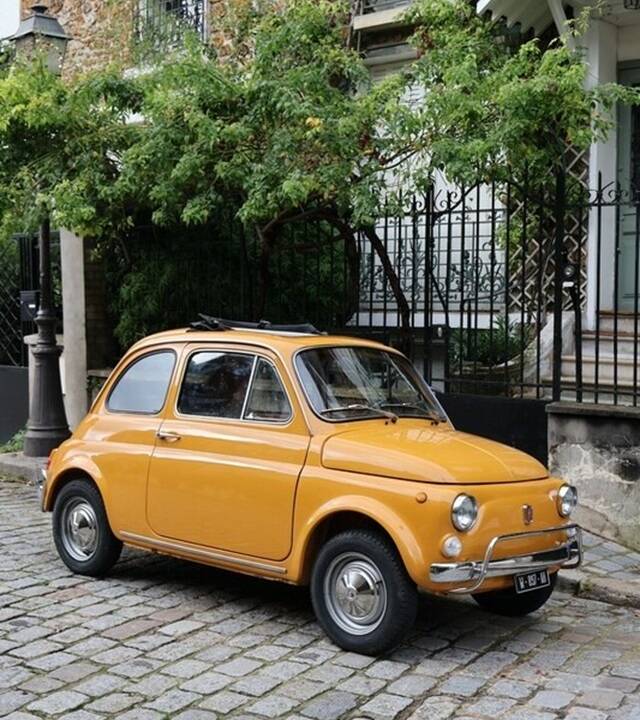 Bild 14/44 von FIAT 500 L (1970)