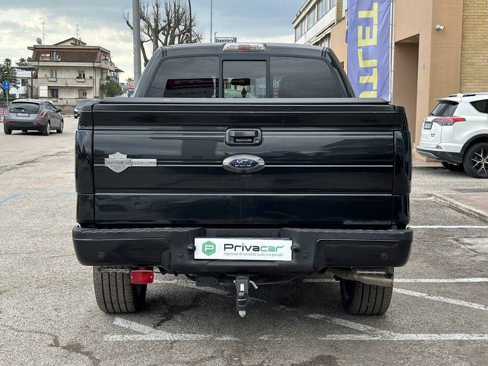 Immagine 6/16 di Ford F-150 "Harley-Davidson" (2010)