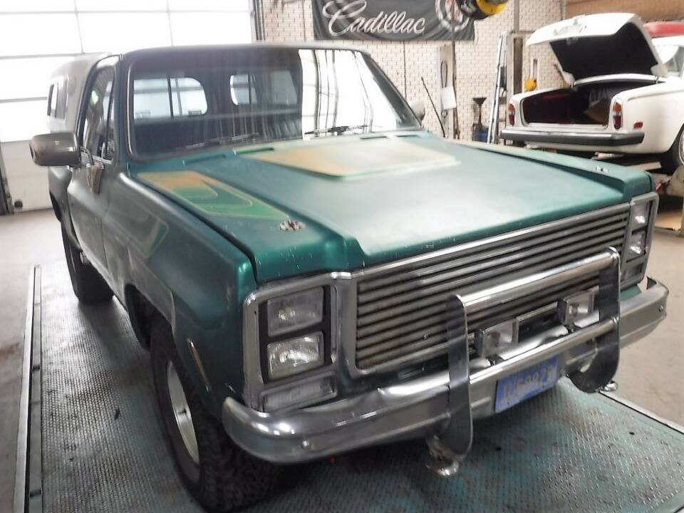 Image 46/50 de Chevrolet C10 Stepside (1979)