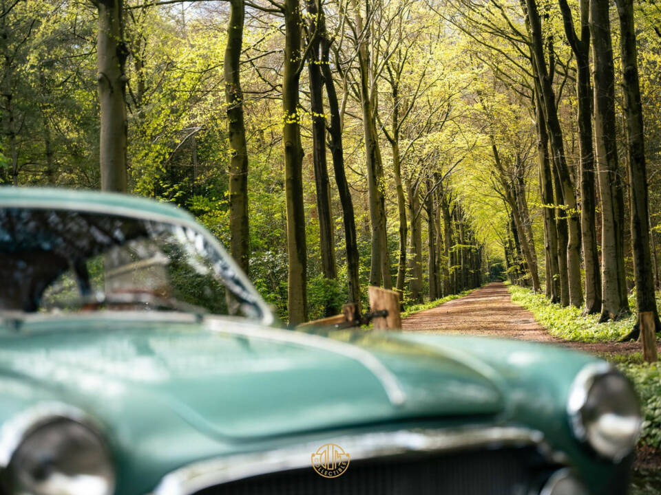 Afbeelding 50/50 van FIAT 1100-103 TV Vignale (1953)