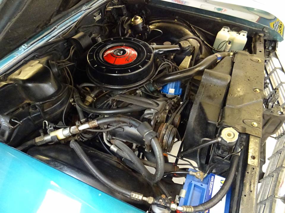 Bild 41/50 von Buick Skylark Convertible (1966)