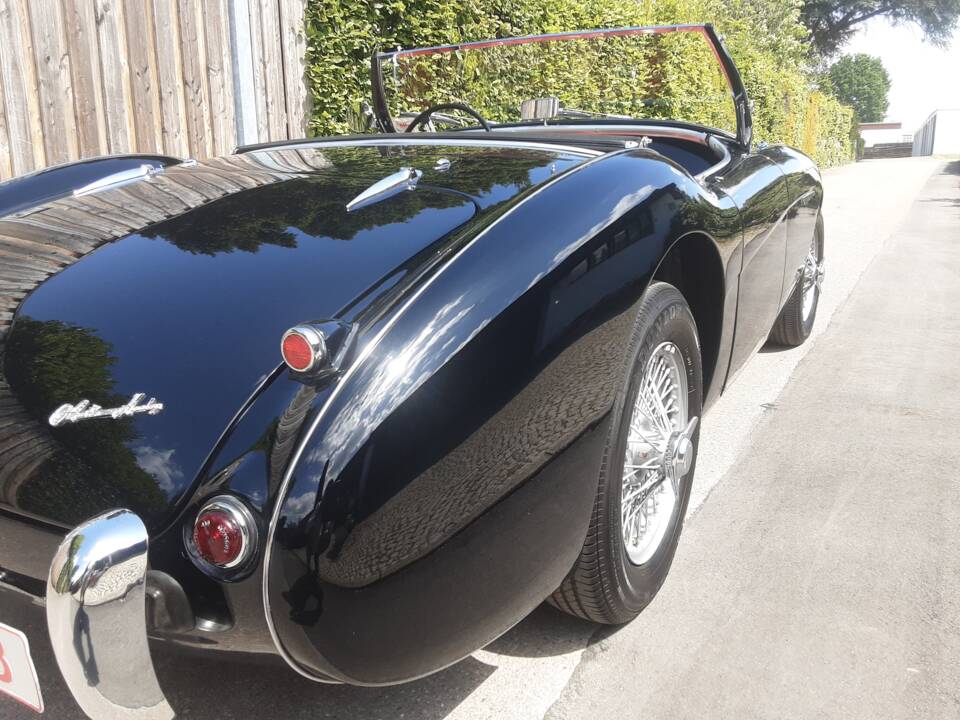 Bild 22/28 von Austin-Healey 100&#x2F;4 (BN1) (1954)