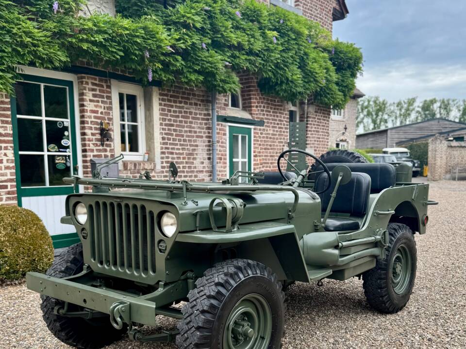 Immagine 1/20 di Jeep Willys-Overland CJ-3A (1950)