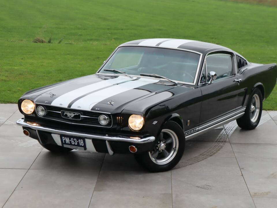Bild 30/50 von Ford Mustang 289 (1966)