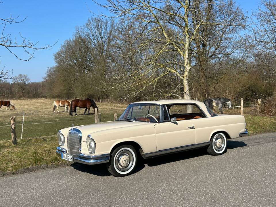 Afbeelding 2/11 van Mercedes-Benz 250 SE (1966)
