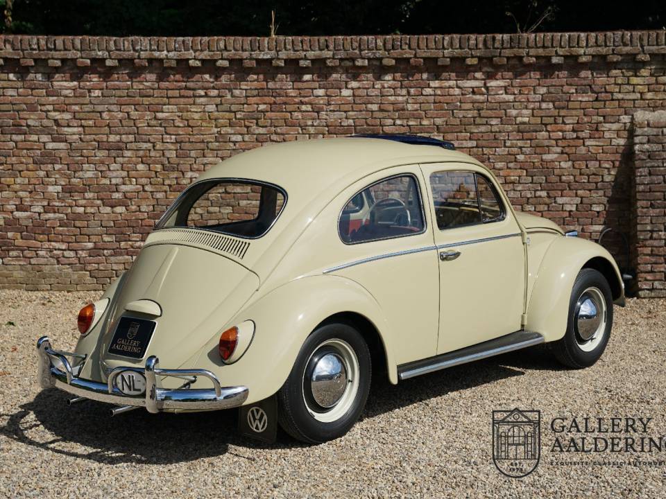 Image 11/50 of Volkswagen Käfer 1200 A (1964)
