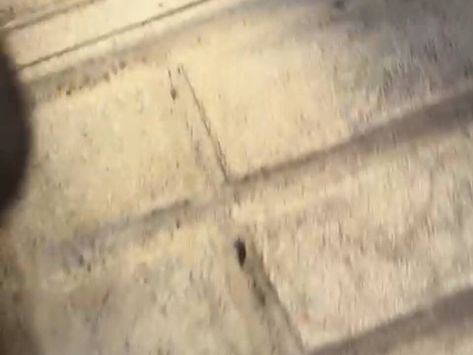 Afbeelding 13/54 van Citroën 2 CV 6 Club (1985)