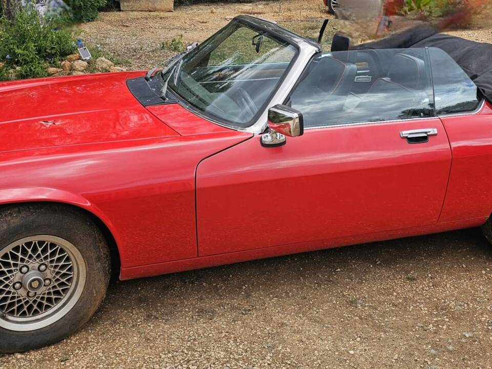 Bild 4/8 von Jaguar XJ-S Convertible (1989)