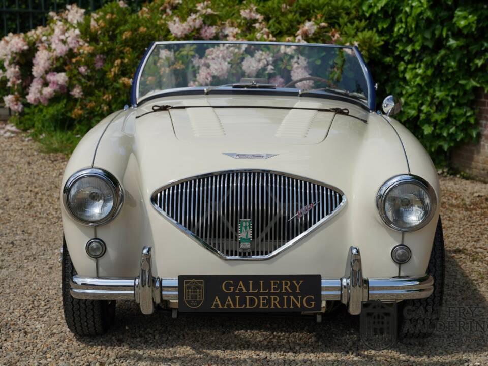 Immagine 41/50 di Austin-Healey 100/4 (BN1) (1954)
