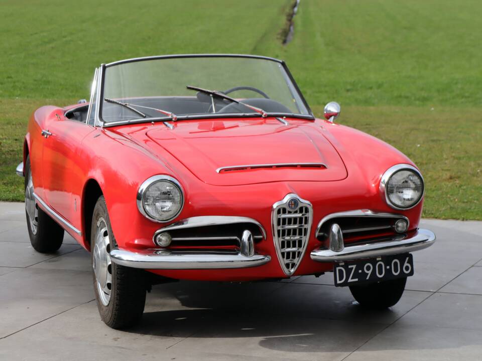 Bild 39/50 von Alfa Romeo Giulia 1600 Spider Veloce (1965)