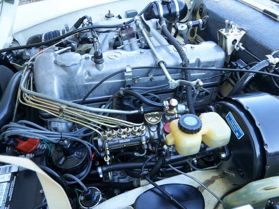 Image 12/50 of Mercedes-Benz 250 SL (1967)