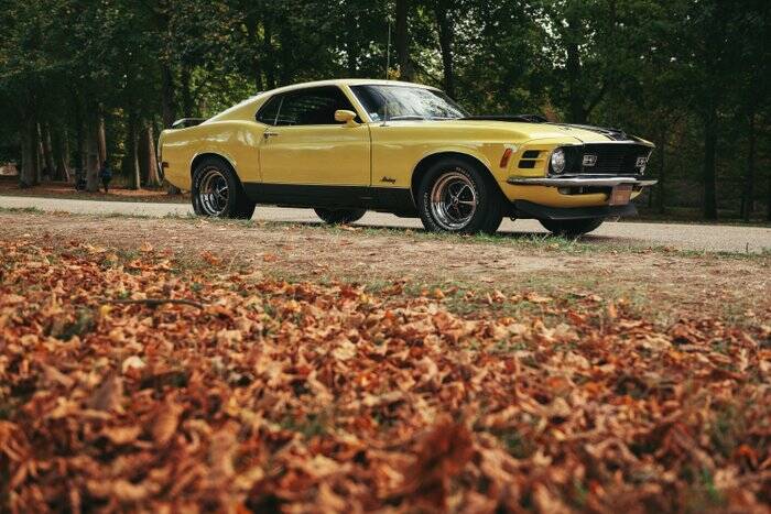 Image 5/7 of Ford Mustang Mach 1 (1970)