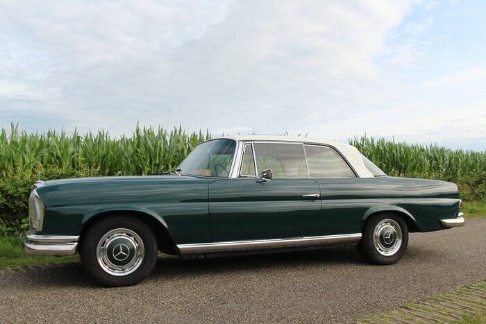 Immagine 5/7 di Mercedes-Benz 220 SE b (1965)