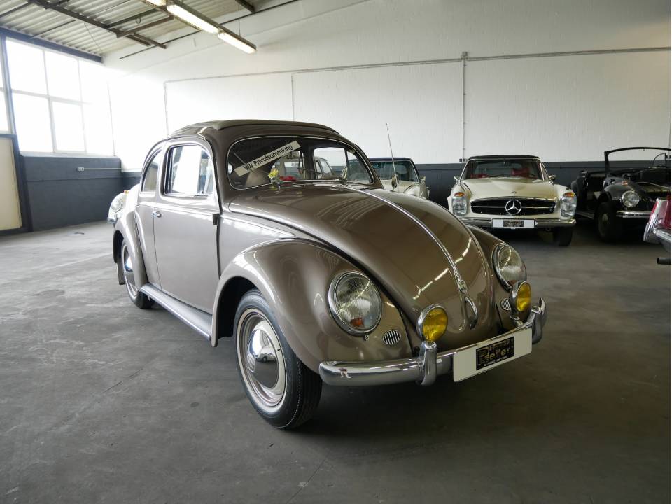 Image 1/27 of Volkswagen Beetle 1200 Standard &quot;Oval&quot; (1955)
