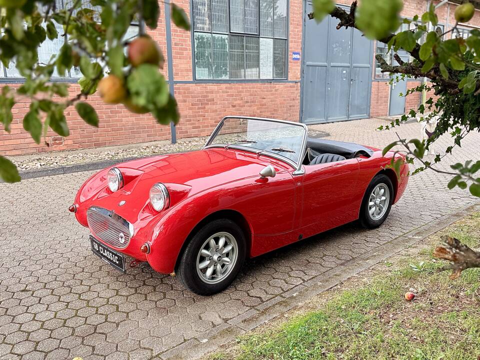 Imagen 23/27 de Austin-Healey Sprite Mk I (1961)