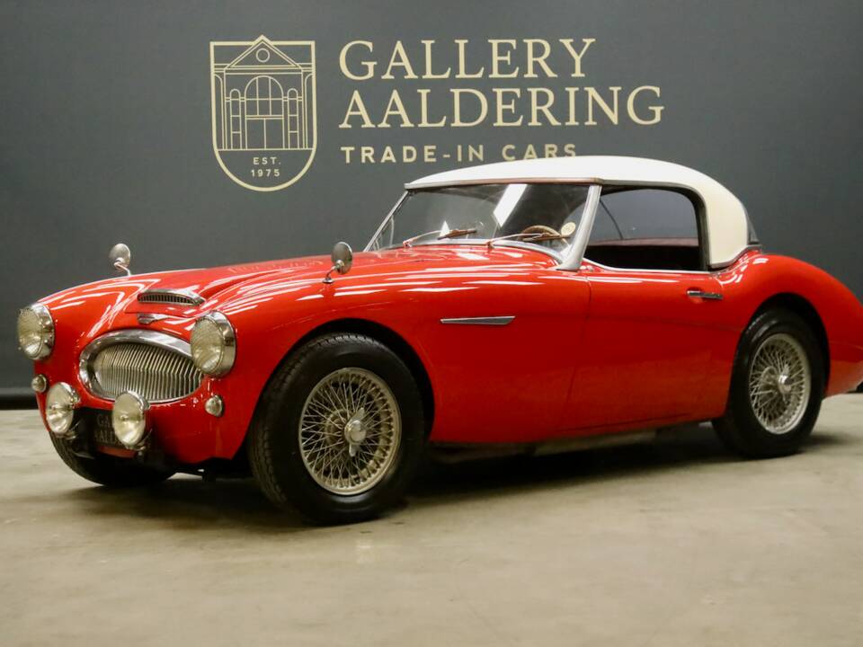 Bild 1/50 von Austin-Healey 3000 Mk II (BN7) (1962)