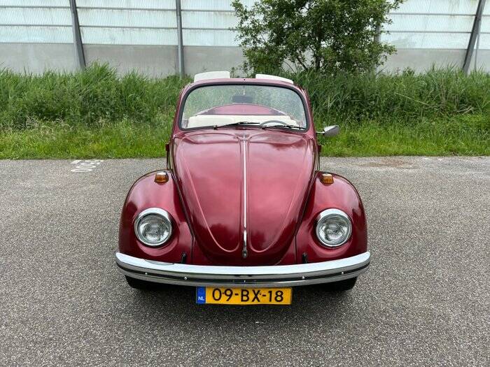 Image 6/7 of Volkswagen Beetle Speedster (1974)