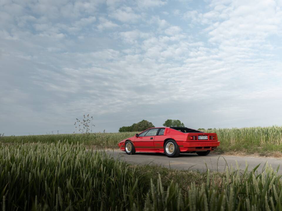 Bild 7/119 von Lotus Esprit Turbo (1981)