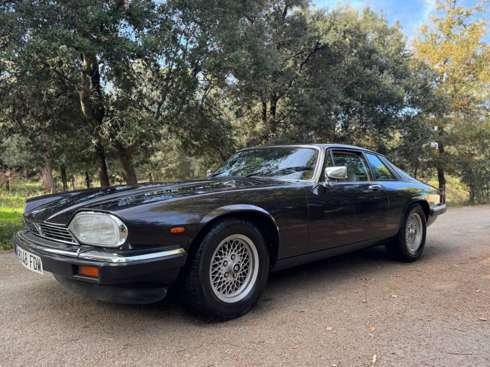 Image 5/47 of Jaguar XJ-S 3.6 (1988)
