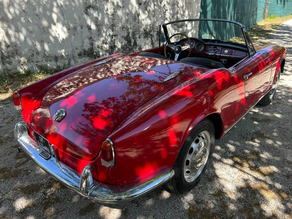 Image 6/8 of Alfa Romeo Giulietta Spider (1959)