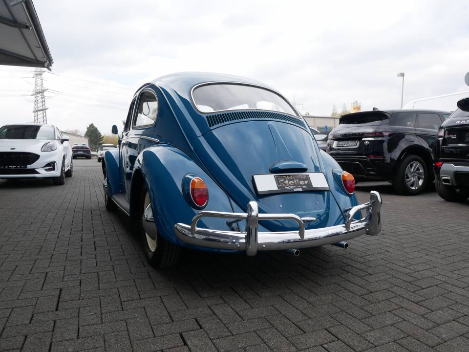 Bild 6/17 von Volkswagen Käfer 1200 Export &quot;Dickholmer&quot; (1964)