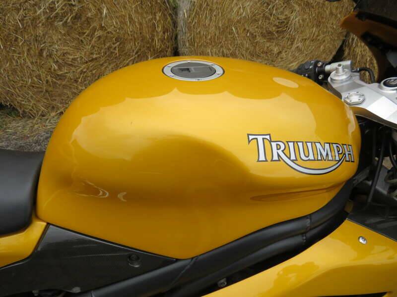 Image 12/39 of Triumph DUMMY (2006)