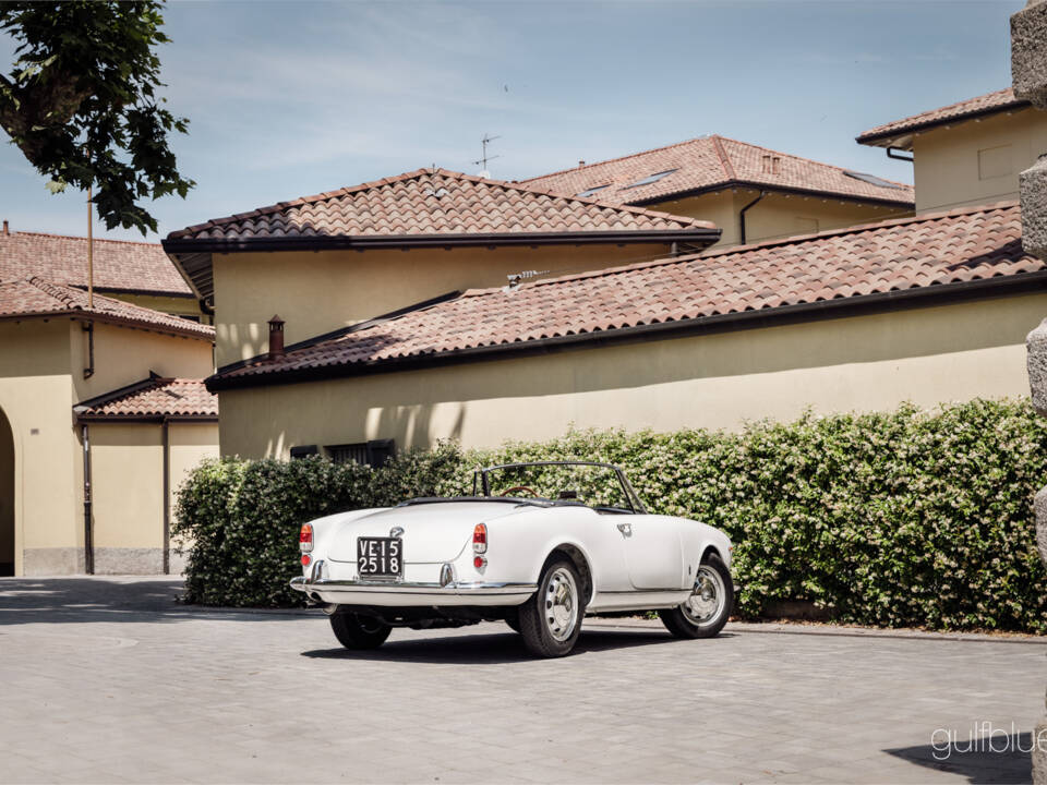 Image 19/71 de Alfa Romeo Giulietta Spider (1960)