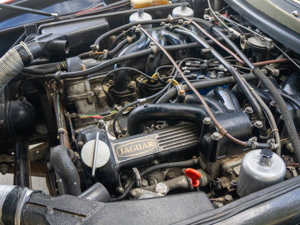 Bild 5/50 von Autokraft Daytona V12 (1975)