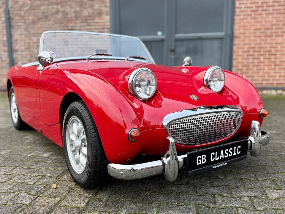 Image 4/40 of Austin-Healey Sprite Mk I (1958)