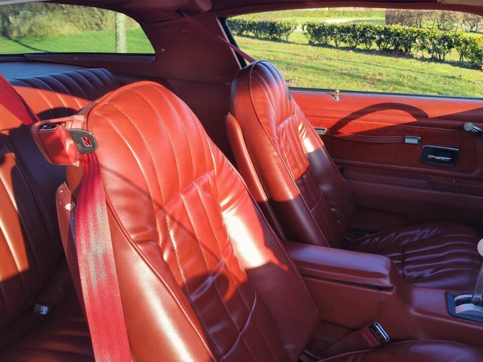 Bild 5/8 von Pontiac Firebird TransAm (1977)