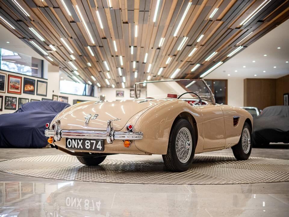 Immagine 7/50 di Austin-Healey 100/4 (BN1) (1954)